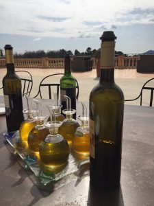 Olive oil and wine tasting in Provence farm