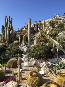 Eze medieval village private tour and the botanic garden