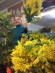 Mimosistes and mimosa farm ion the golden road