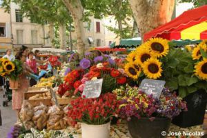 provence tour and the local markets