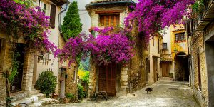 provence tour discover the local heritage
