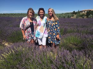 lavender, roses fields in the season